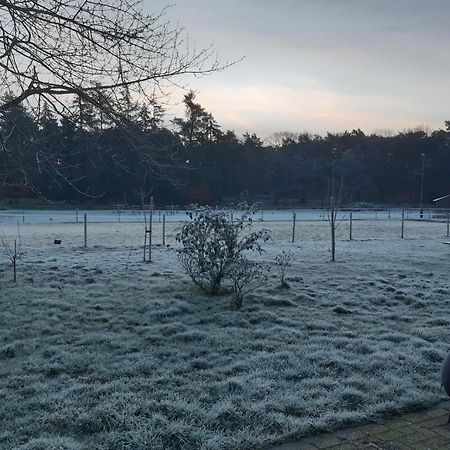 Natuurslaapkamer De Zaadeest Boskamer Lomm Extérieur photo