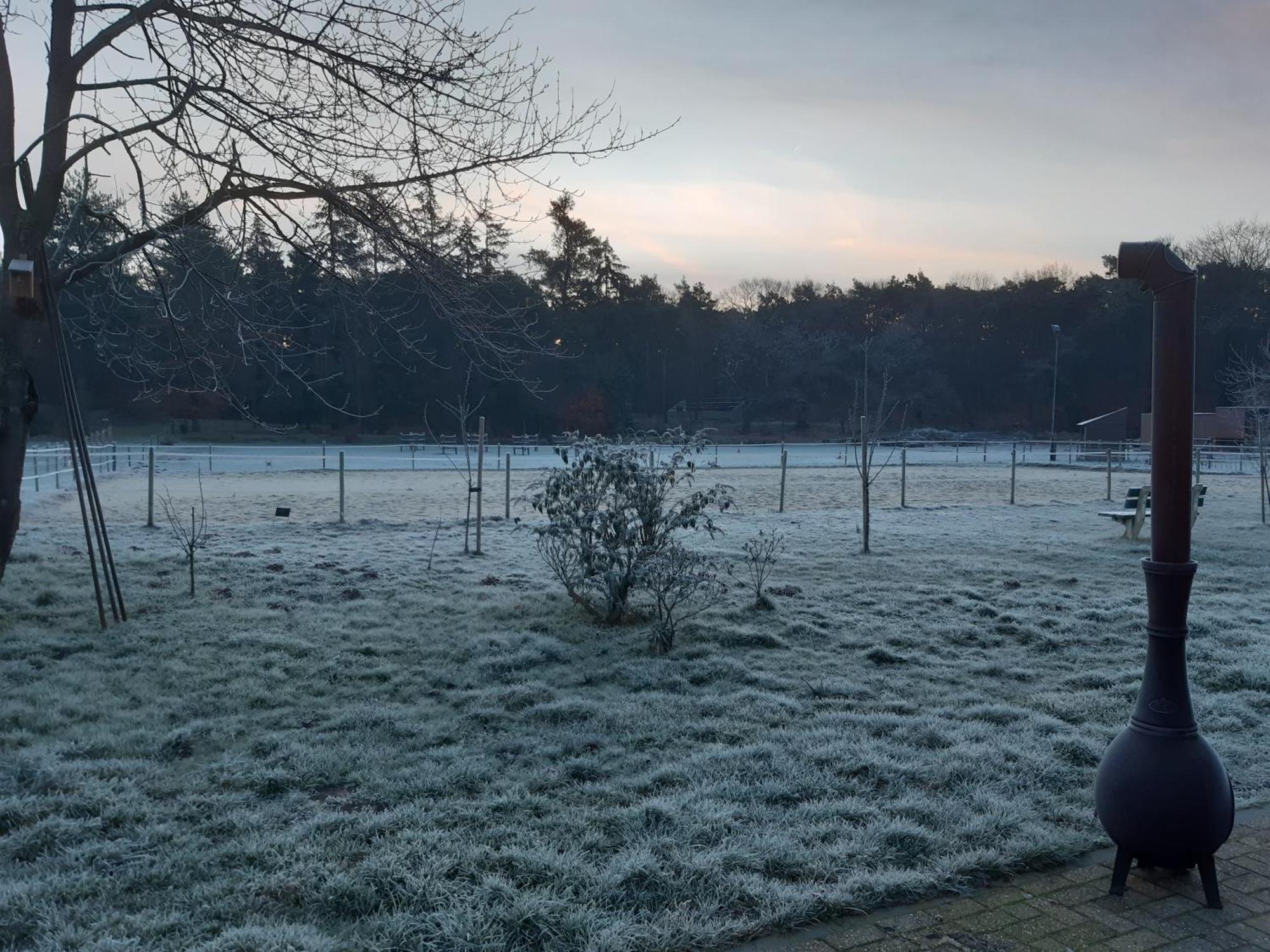 Natuurslaapkamer De Zaadeest Boskamer Lomm Extérieur photo