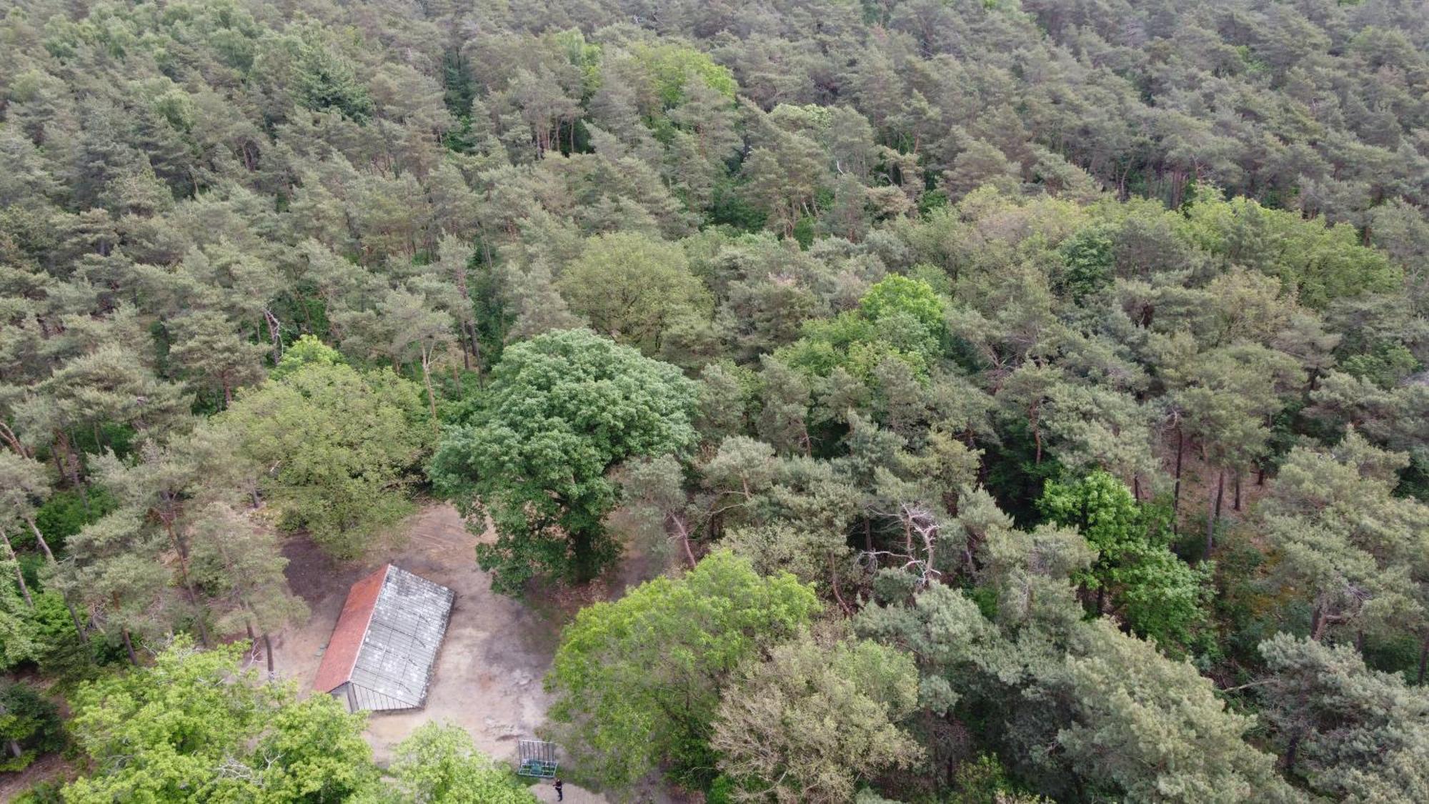 Natuurslaapkamer De Zaadeest Boskamer Lomm Extérieur photo